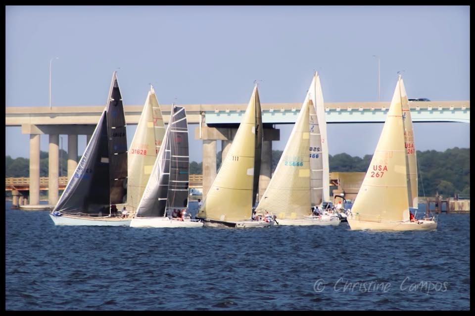 Racing on the Choptank River. Several sailboats are sailing upwind.